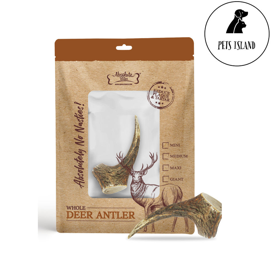 Absolute Bites Whole Full Deer Antlers Natural Dog Chew Dental Chew