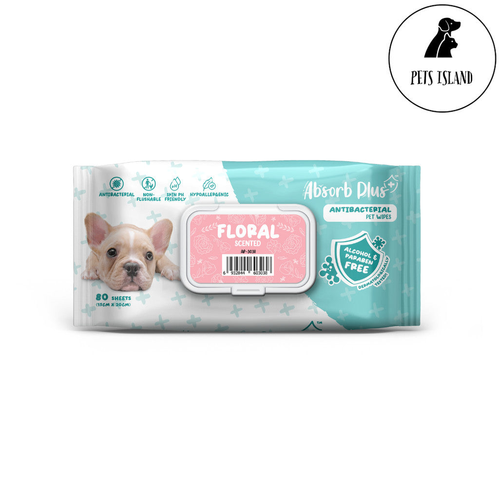 Absorb Plus Antibacterial Pet Wipes 80pcs