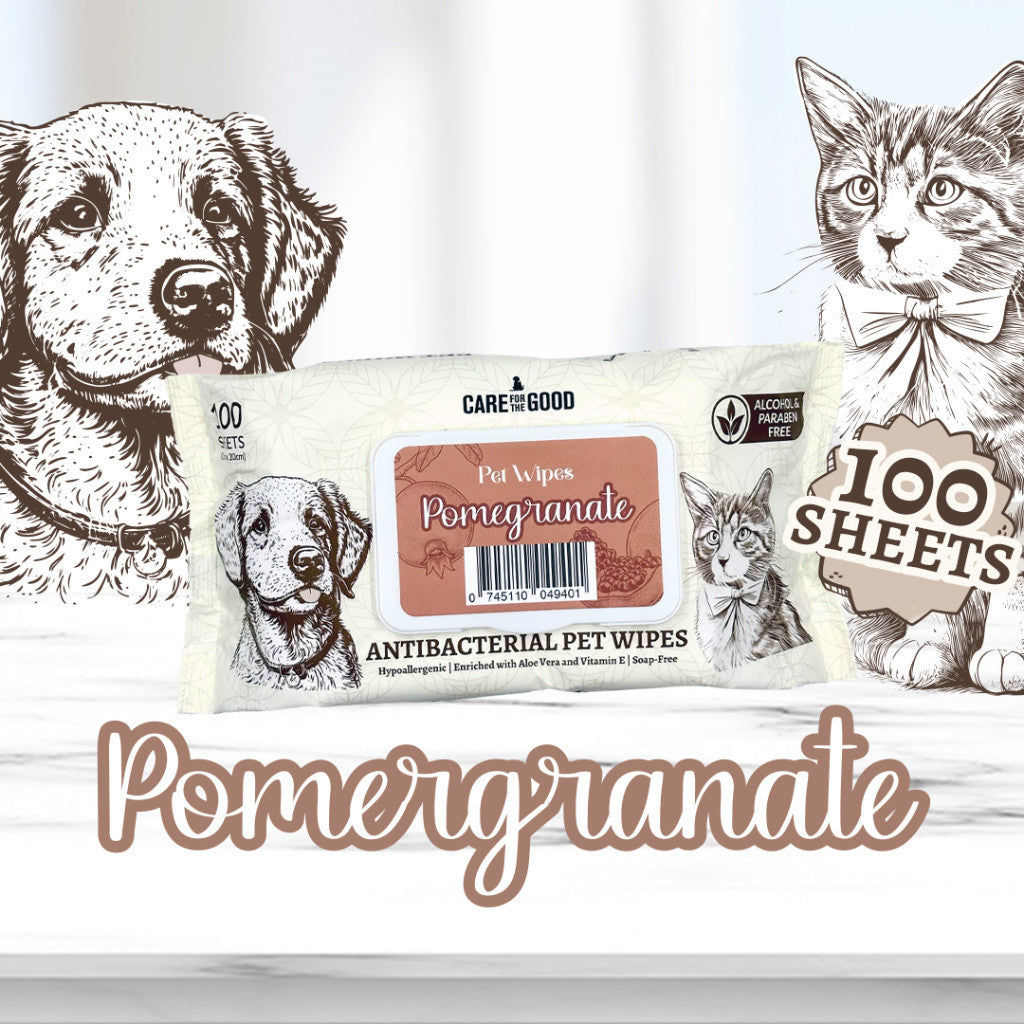 3 FOR $11.90: Care For The Good Antibacterial Pet Wipes 100pc Suitable for Cats, Dogs & Small Animal