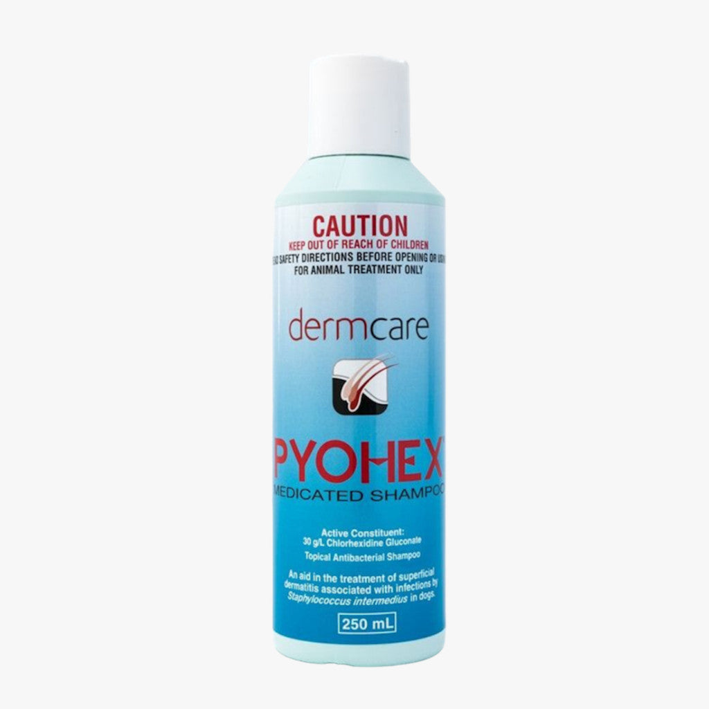 Dermcare Aloveen Oatmeal & Pyohex Medicated Shampoo and Conditioner for Pets