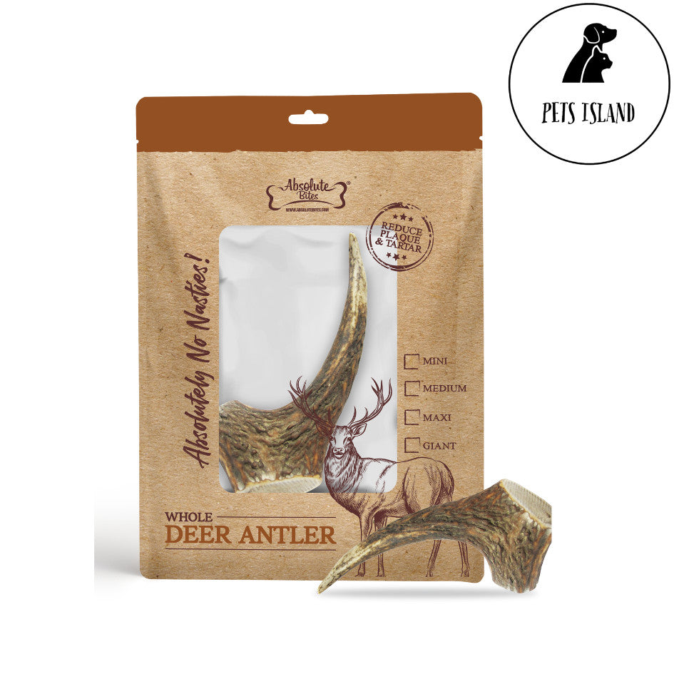 Absolute Bites Whole Full Deer Antlers Natural Dog Chew Dental Chew