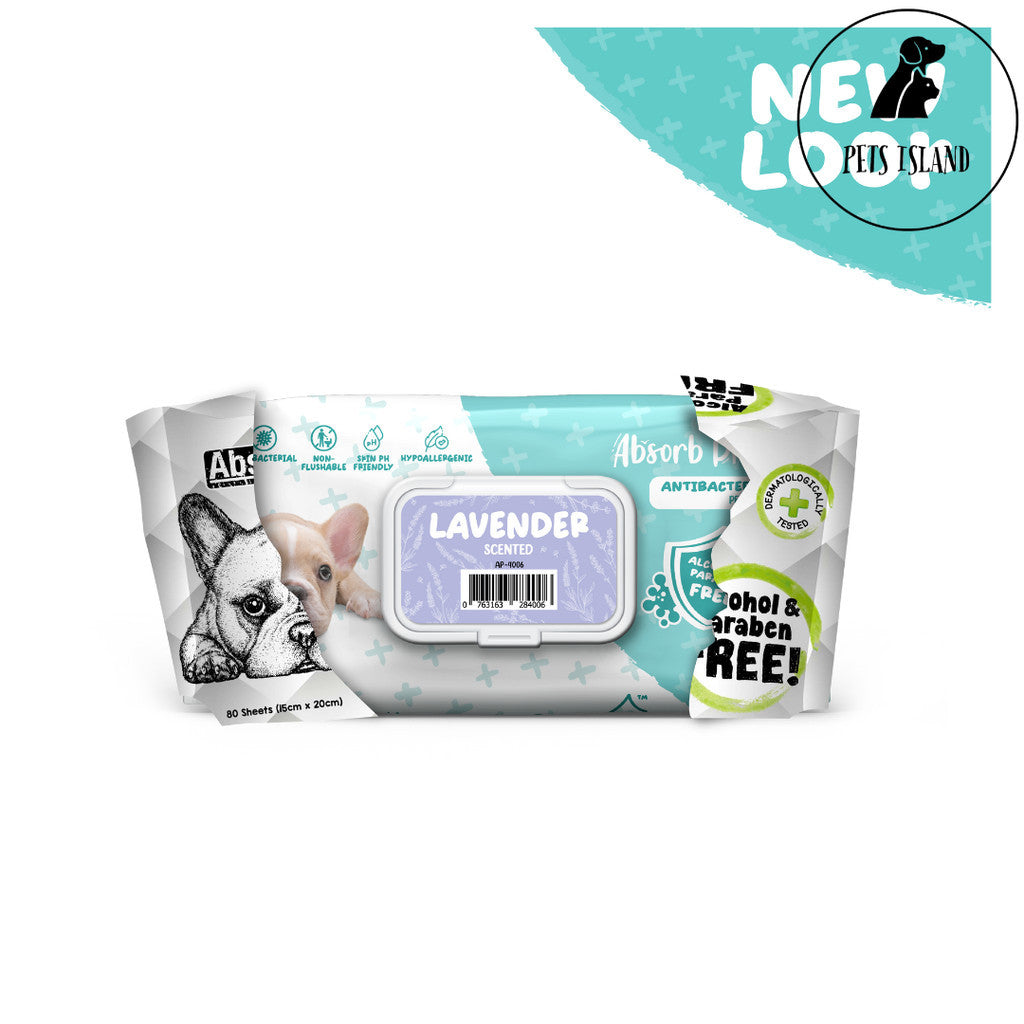 Absorb Plus Antibacterial Pet Wipes 80pcs