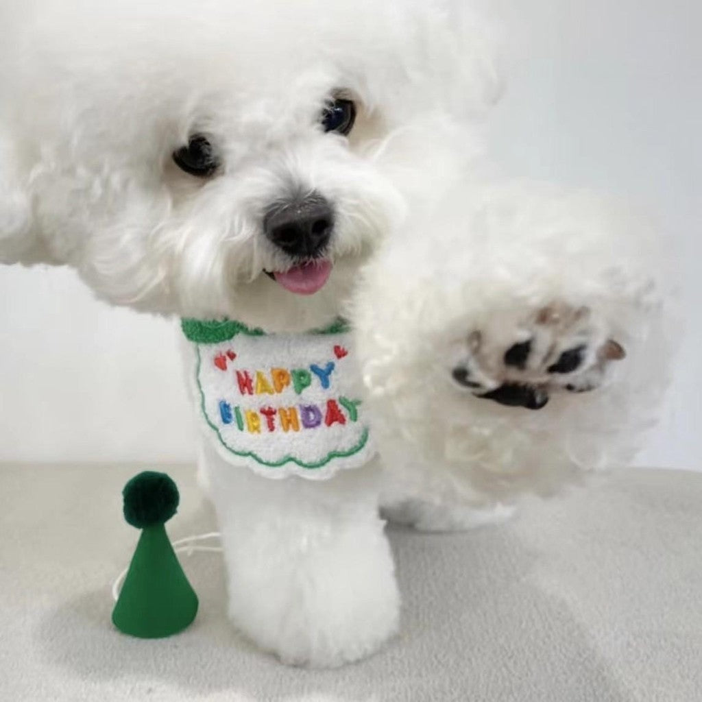 Birthday Bibs & Party Hats Set for Dogs & Cats Cute Pet Accessories
