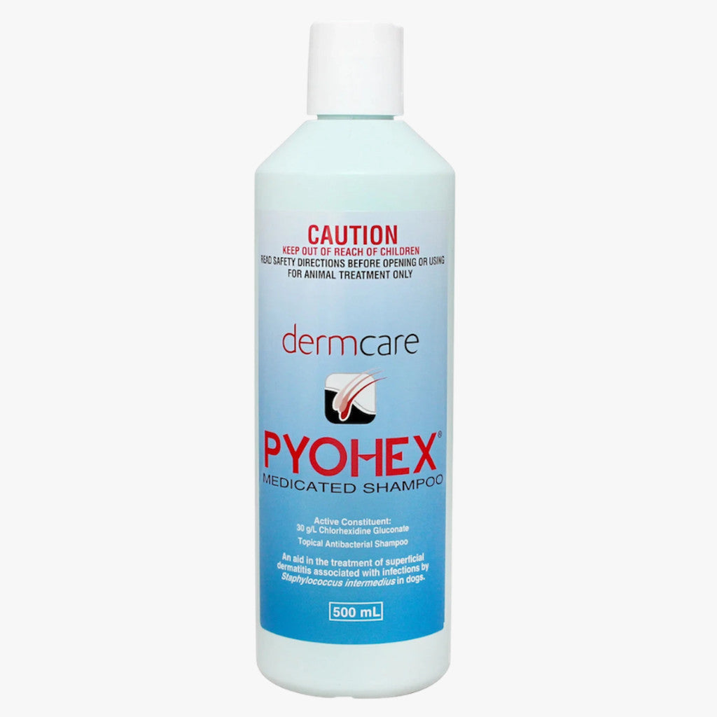 Dermcare Aloveen Oatmeal & Pyohex Medicated Shampoo and Conditioner for Pets