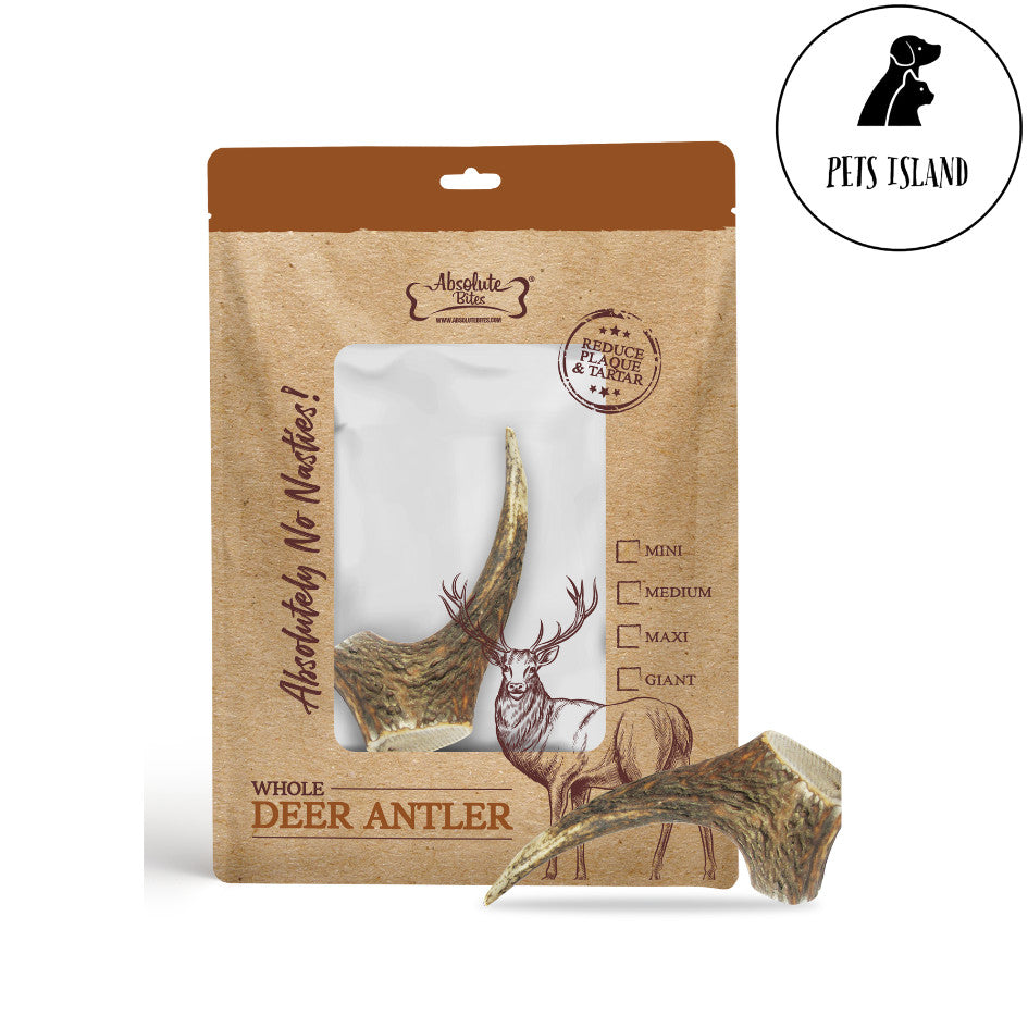 Absolute Bites Whole Full Deer Antlers Natural Dog Chew Dental Chew