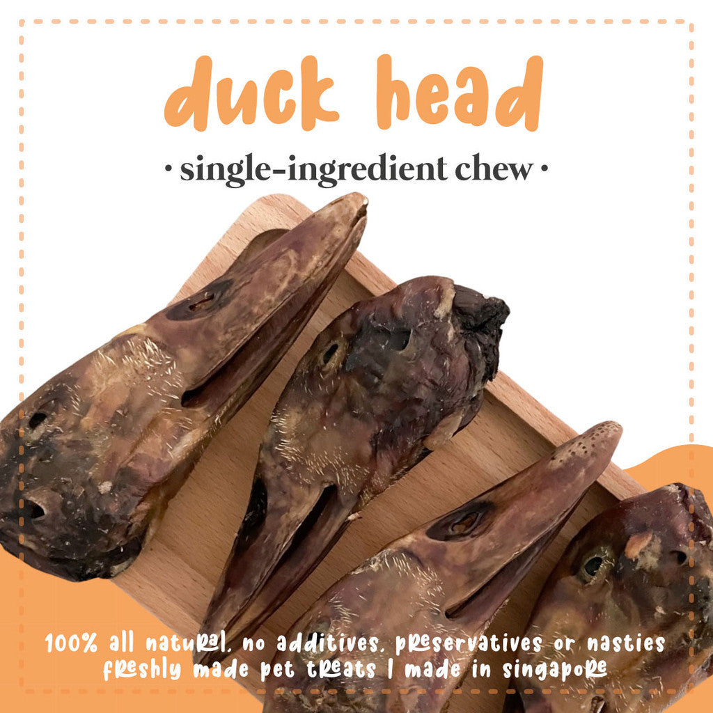 Sayhoy Duck Head Chews 2pcs
