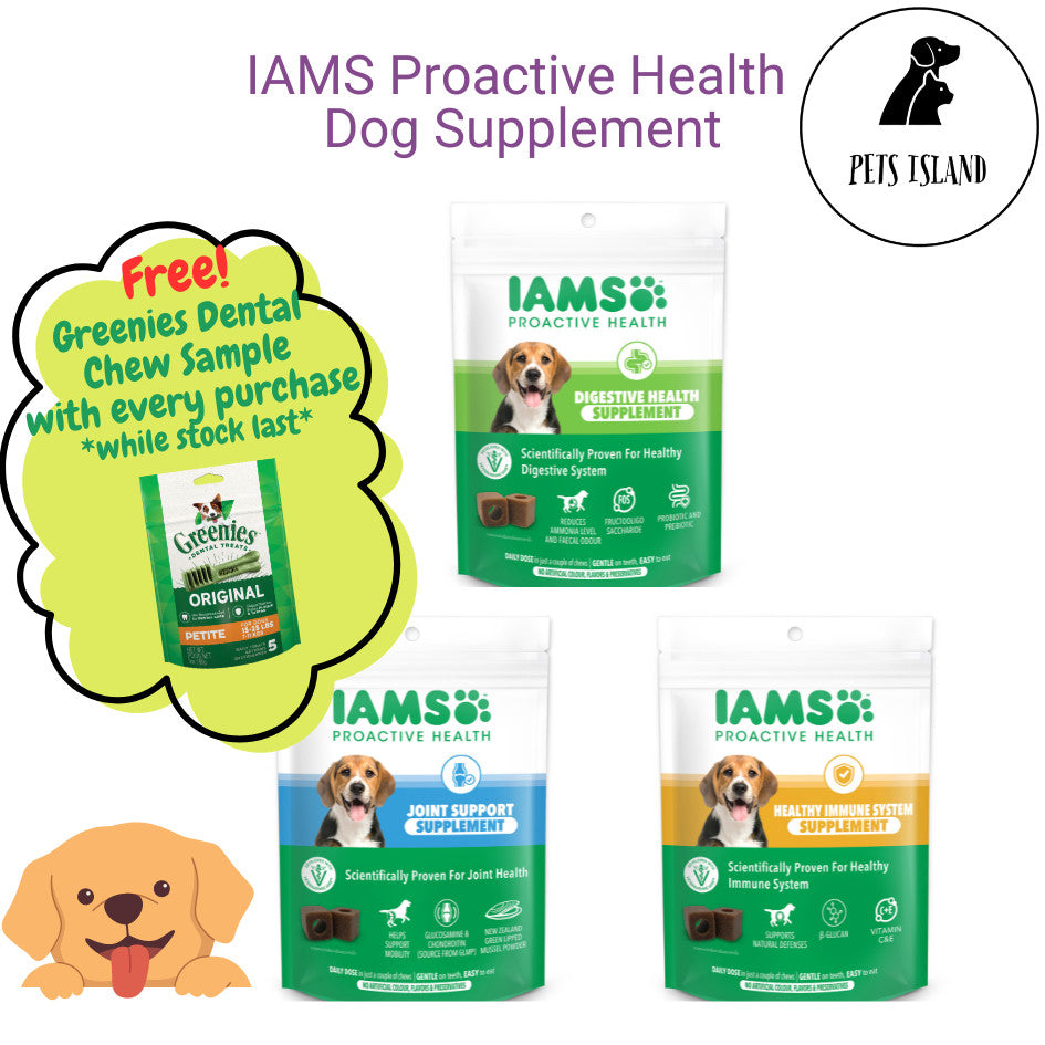 IAMS Proactive Health Dog Supplement - 168g