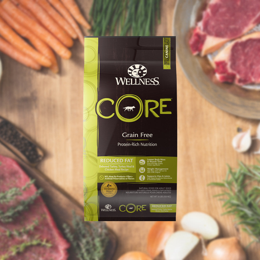 Wellness CORE Grain-Free Dry Dog Food -Reduced Fat,4lb