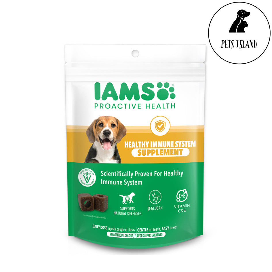 IAMS Proactive Health Dog Supplement - 168g