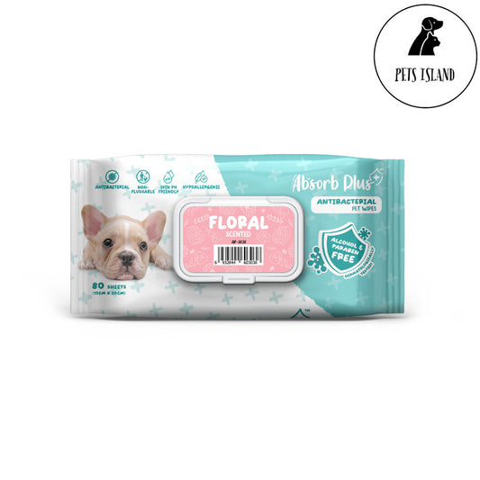 Absorb Plus Antibacterial Pet Wipes 80pcs