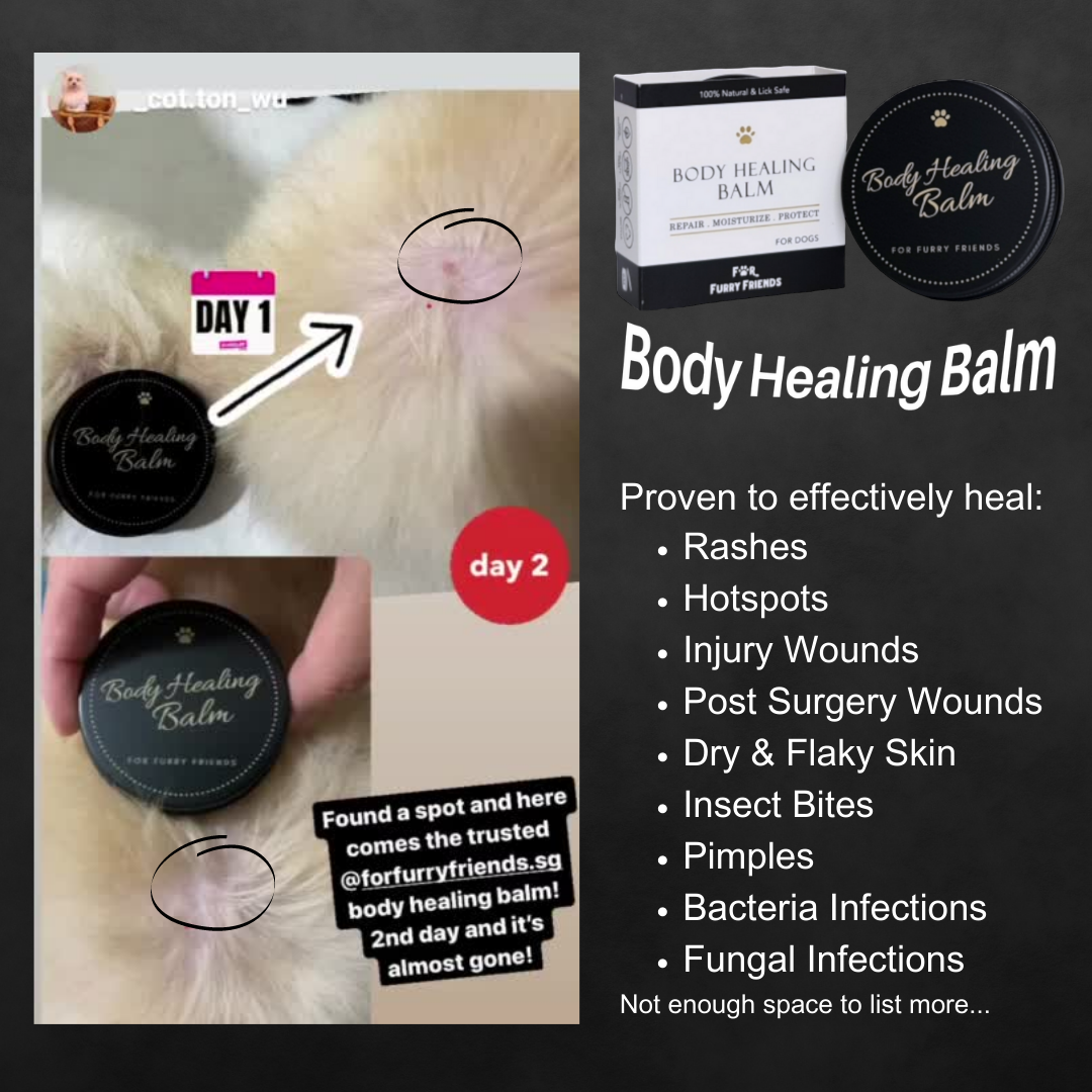 For Furry Friends Body Healing Balm 5g 40g for Dogs