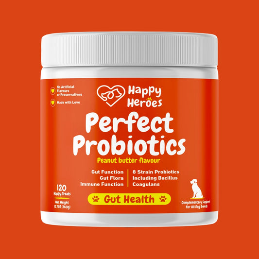 Happy Heroes Perfect Probiotics Soft Chews 120 Chews