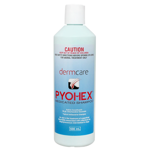 Dermcare Pyohex Medicated Shampoo for Dog