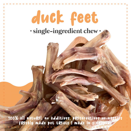 Sayhoy Duck Feet Chews 100g