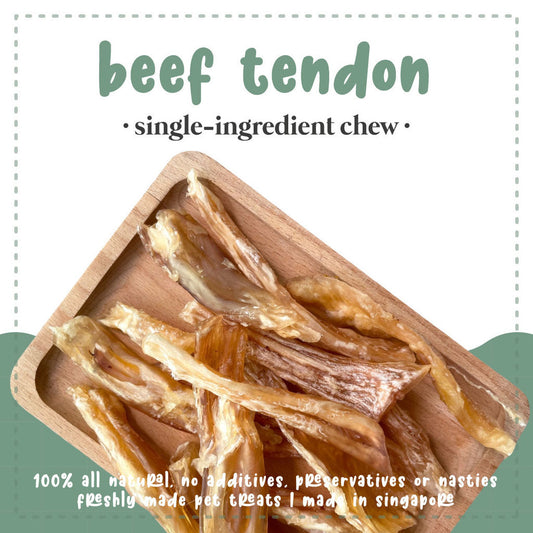 Sayhoy Beef Tendon Chews 50g