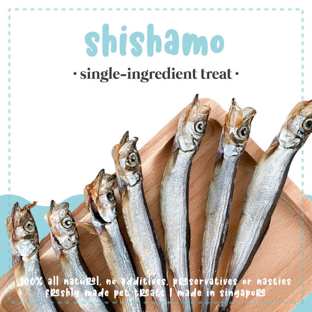 Sayhoy Shishamo 8pcs Dehydrated Dog & Cat Treats