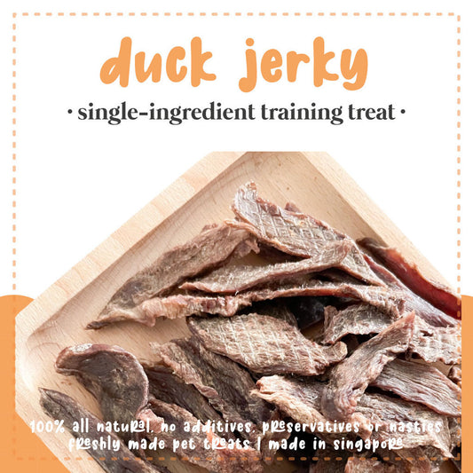 Sayhoy Duck Jerky Dog & Cat Treats 100g