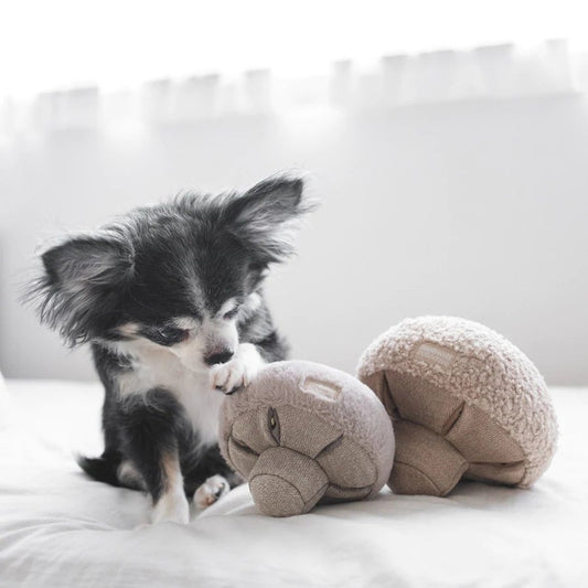 Lambwolf Collective GUU Mushroom Toy for Dogs and Cats