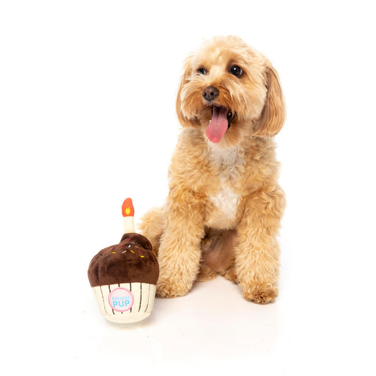 FuzzYard Birthday Cupcake Plush Toy for Dogs