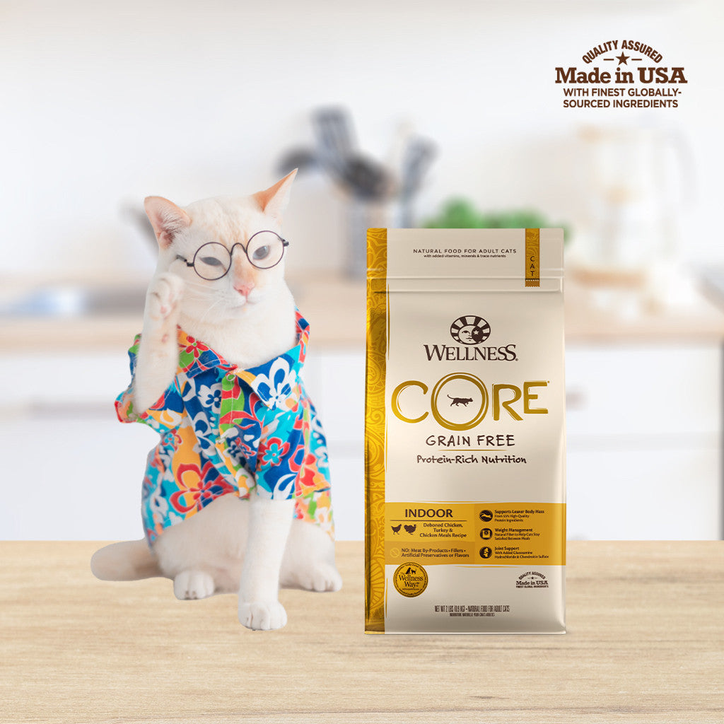 Wellness CORE Grain-Free Dry Cat & Kitten Food  -Indoor (Chicken),11 lb (4.98 kg)