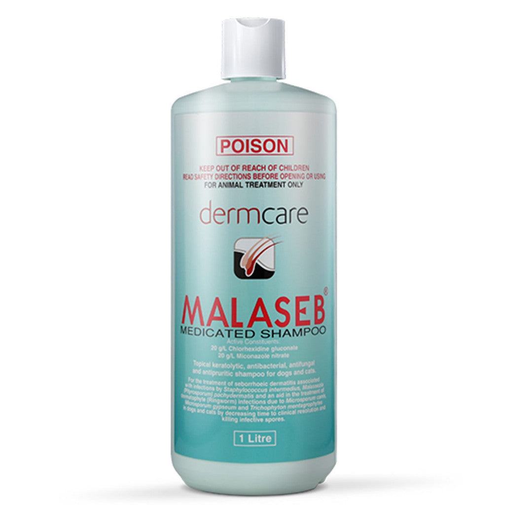 Dermcare Malaseb Medicated Shampoo for Cats & Dogs 3 Sizes -1L