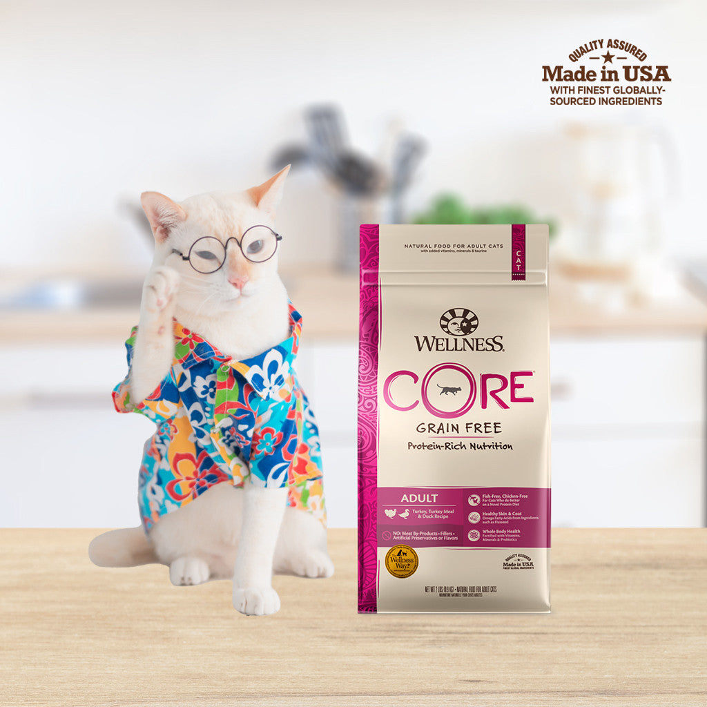 Wellness CORE Grain-Free Dry Cat & Kitten Food  -Turkey-TurkMeal-Duck,11 lb (4.98 kg)