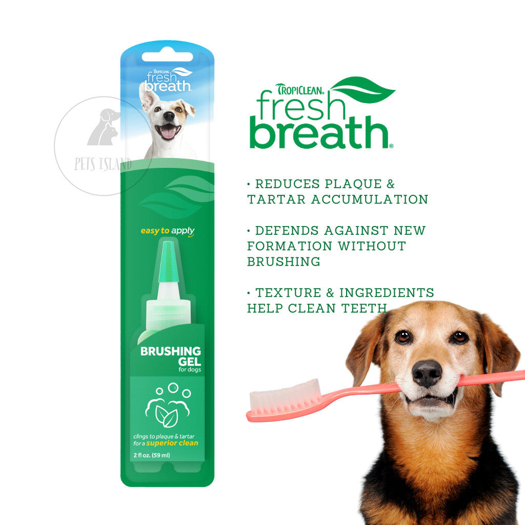 TropiClean Fresh Breath CleanTeeth Brushing Gel Toothpaste For Dogs 2oz